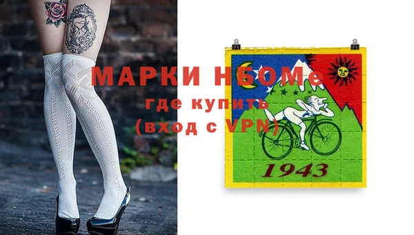 шишки Приозерск