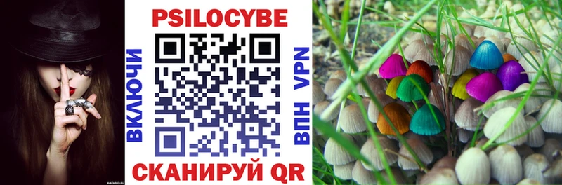 Псилоцибиновые грибы ЛСД  Кашин 
